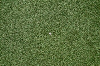 How to Maintain Your Carpets for Long-Lasting Beauty